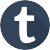 dribbble icon